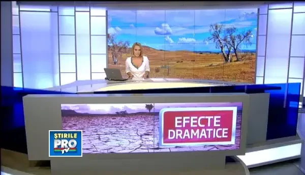 Branza, untul si laptele s-ar putea scumpi din toamna. Efectele secetei asupra agriculturii