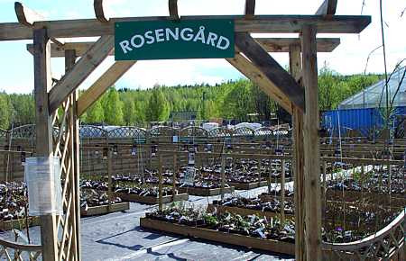 A crescut in cel mai PERICULOS cartier si putea sa ajunga un CRIMINAL! Vezi povestea unuia dintre cei mai MARI fotbalisti ai LUMII: