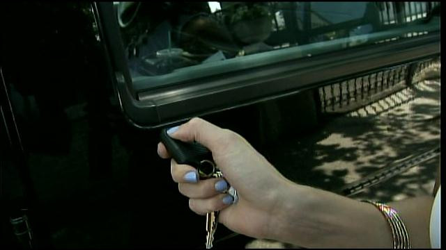 "Parca e Triunghiul Bermudelor pentru masini". Zona in care telecomenzile nu functioneaza. VIDEO