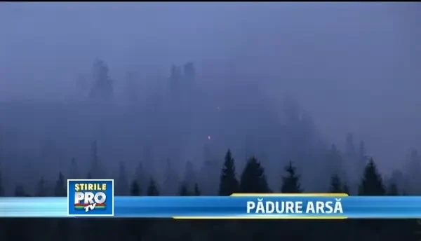 Incendiu devastator in Maramures. Peste 20 de hectare de padure au fost puse la pamant de flacari