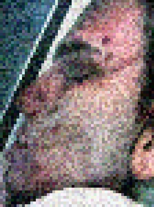 Un site a publicat fotografii cu fata presupusului autor al atentatului de la Burgas.IMAGINI SOCANTE