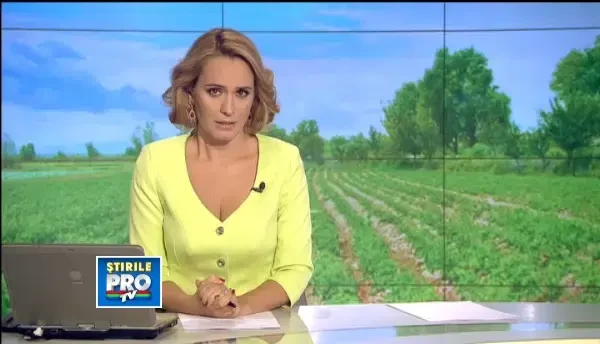 Afacere de succes. Agricultorii primesc cate 200 de euro pe un hectar cultivat cu produse bio