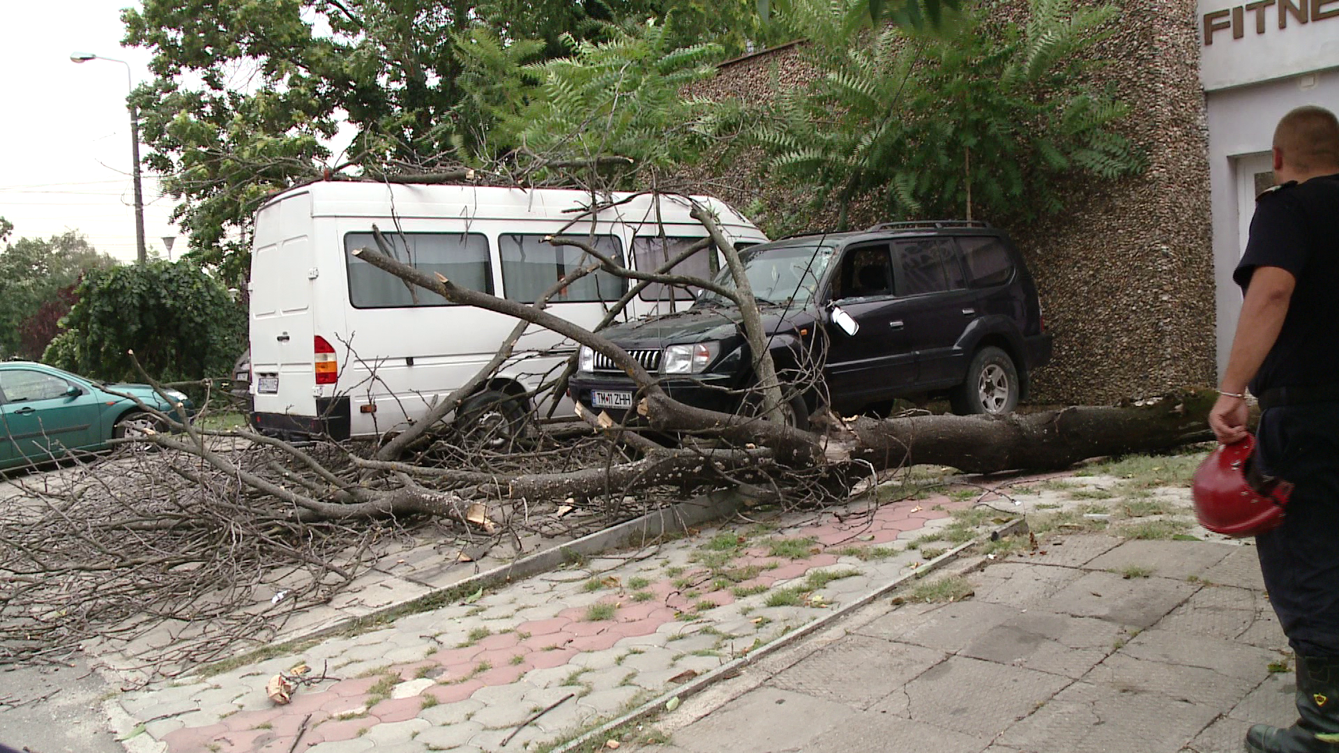 O vijelie puternica a facut ravagii aseara la Timisoara. Copacii au distrus cateva masini