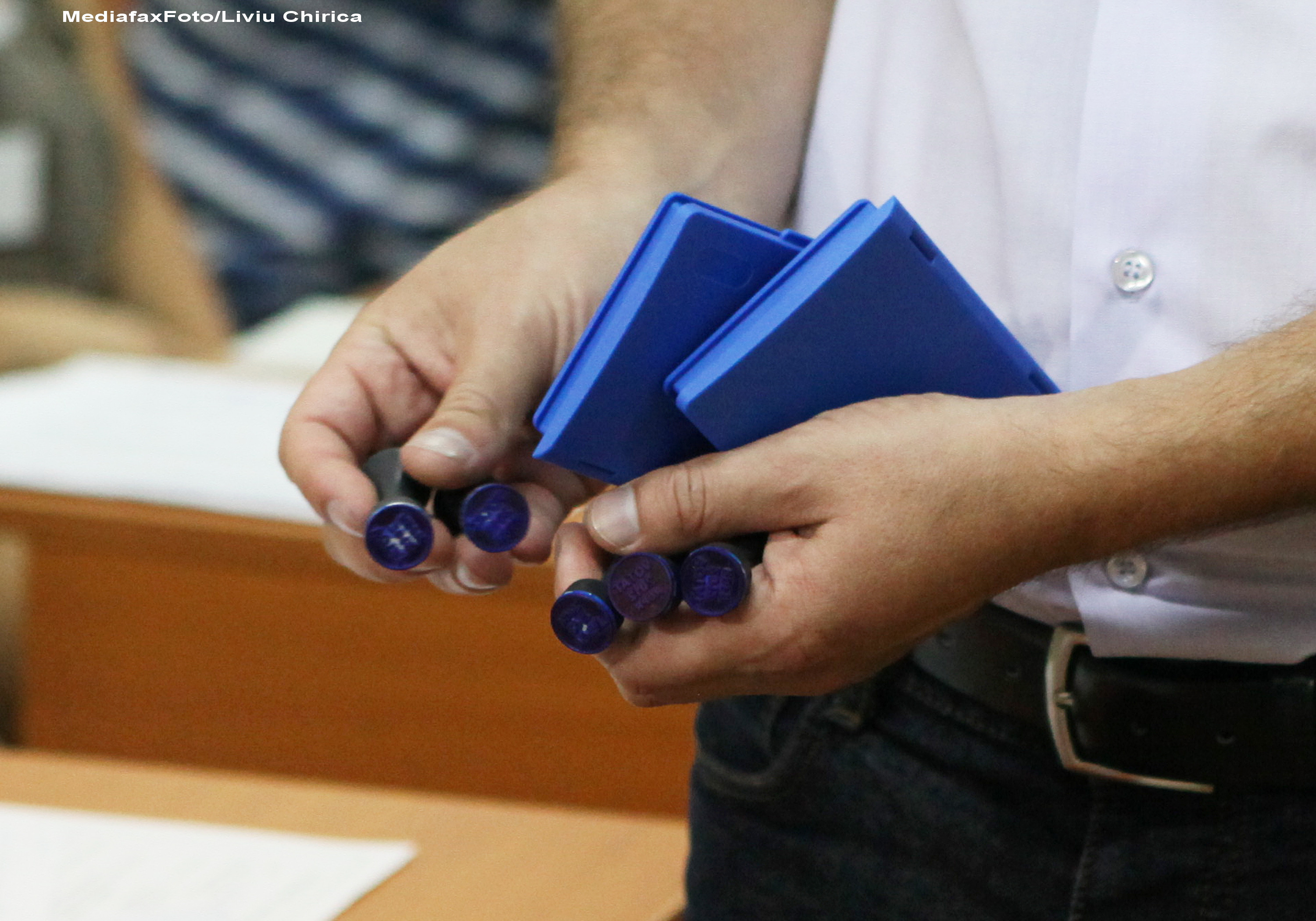 Noua Constitutie: Initierea referendumului, aprobata de Parlament; prag de o treime din alegatori