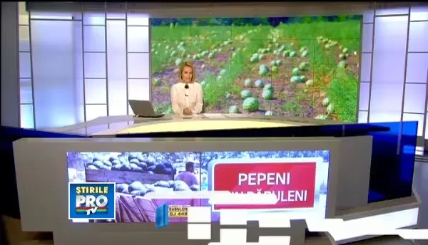 Lovitura pentru pepenii de Dabuleni. Ce probleme are marca principala de pepeni din Romania