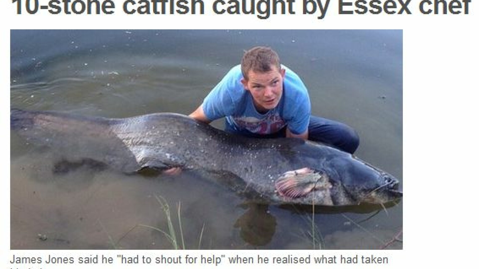 Un barbat a reusit sa prinda cel mai mare peste de apa dulce din istoria Marii Britanii