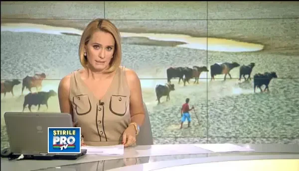 Urmarile secetei: ne asteapta scumpiri la paine si lapte in urmatoarele saptamani