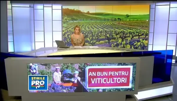 Vitucultorii afectati de seceta