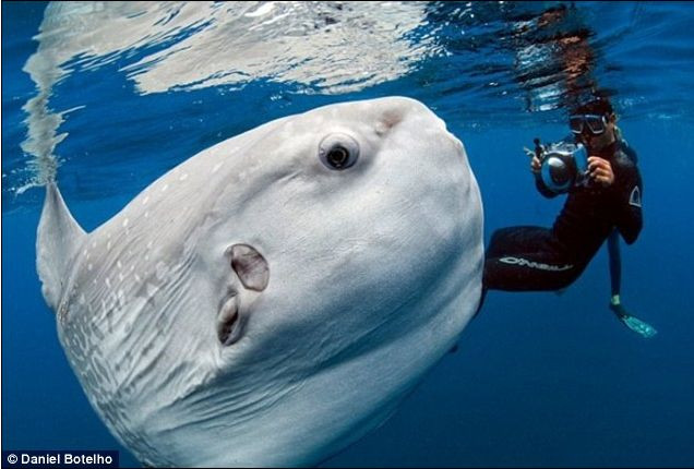 A facut POZA VIETII, insa a uitat de ea, timp de DOI ANI. Imaginea a devenit acum VIRAL pe internet