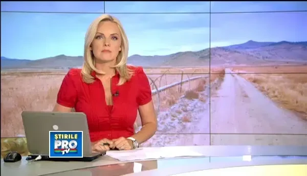 Culturi de floarea soarelui cu seminte fara samburi. Efectul fenomenului botezat SECETA ATMOSFERICA