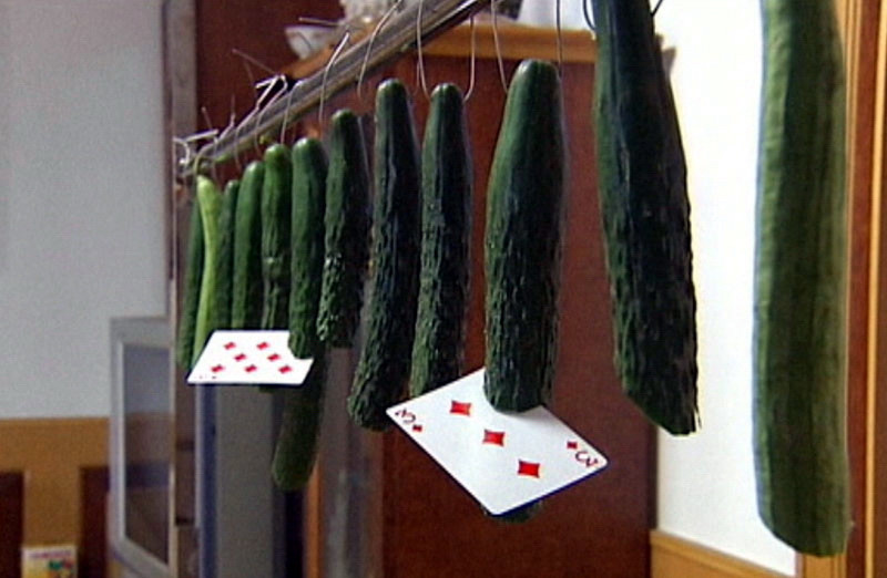 Ca in filme. Dupa 10 ani de antrenament, un chinez taie fructele cu cartile de joc. VIDEO