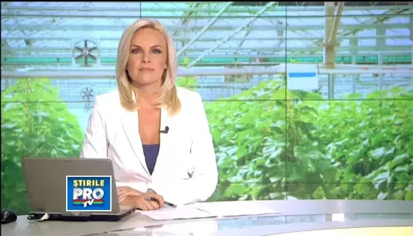 Afacere profitabila cu vecinii. Romanii in Satu Mare vand ungurilor castraveti la pret triplat