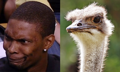 Chris Bosh (NBA) si strutul