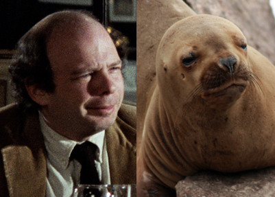 Wallace Shawn (actor) si leul de mare
