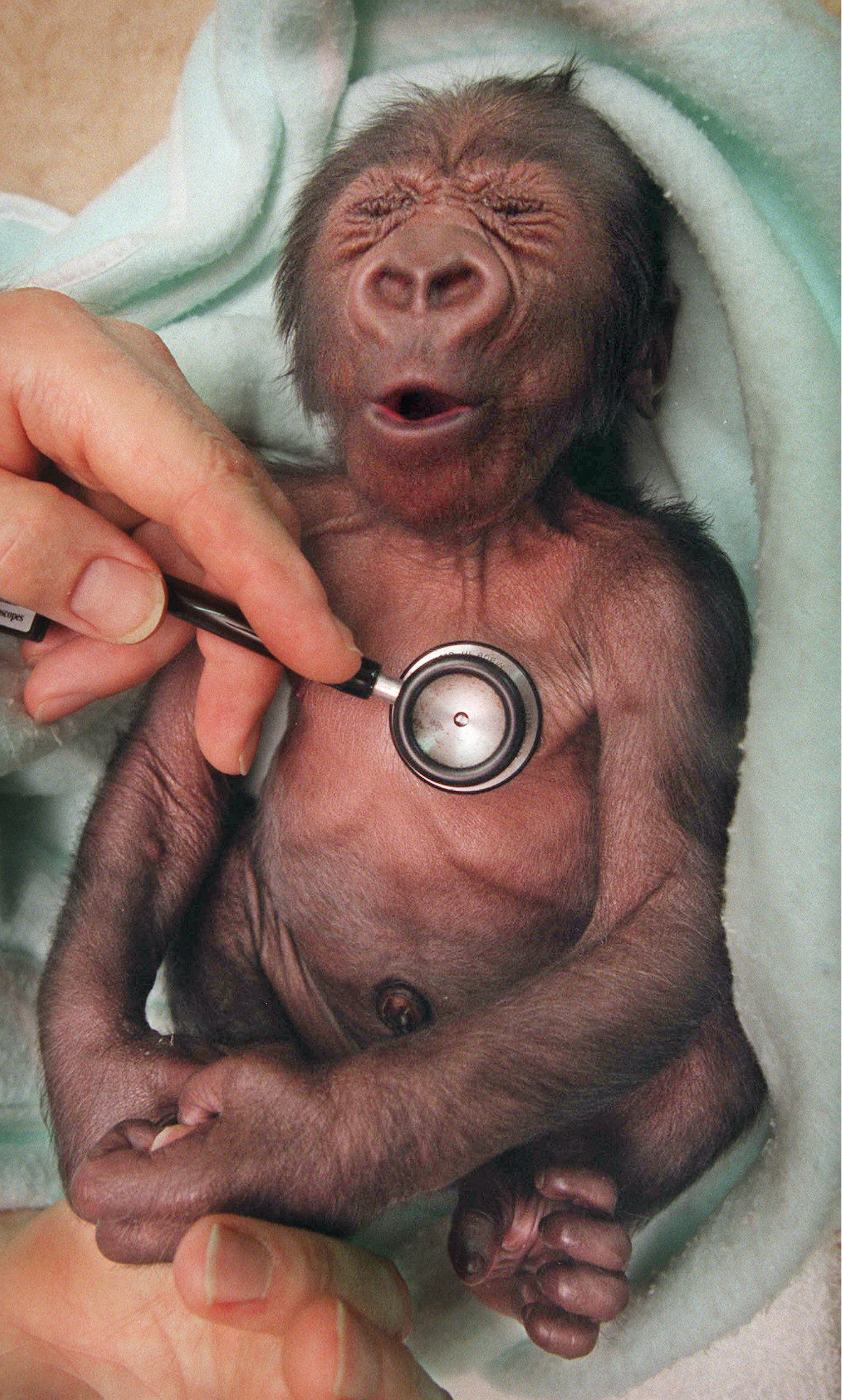 Au fost facute acum 13 ani. Azi au devenit cele mai vizualizate fotografii de pe internet