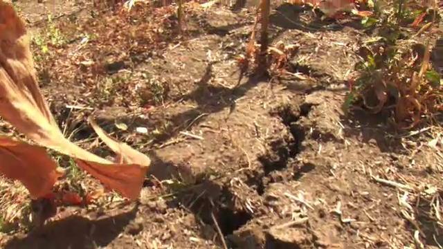 Cum exporta Romania apa pentru irigatii in Ungaria in timp ce culturile se USUCA pe campuri