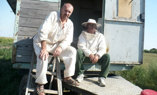 5 lucruri despre mierea de albine adevarata. Pentru ca ce mancam noi este, de obicei, o mizerie artificiala