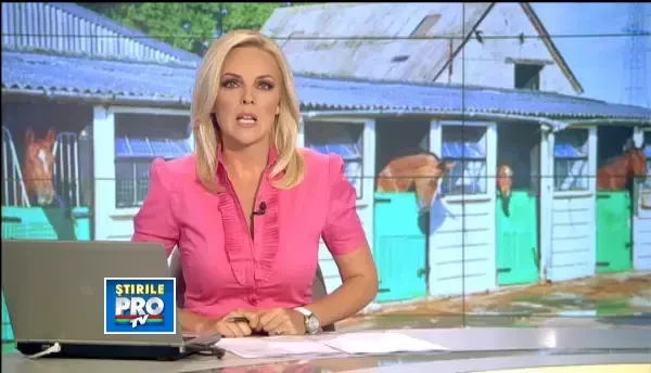 Apogeul saraciei la o herghelie din Bistrita. Caii batrani, vanduti in Italia, unde vor ajunge salam