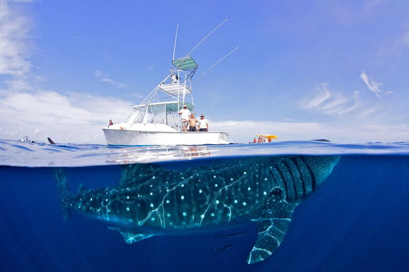 Imaginea zilei. O astfel de fotografie poate fi realizata o singura data in viata
