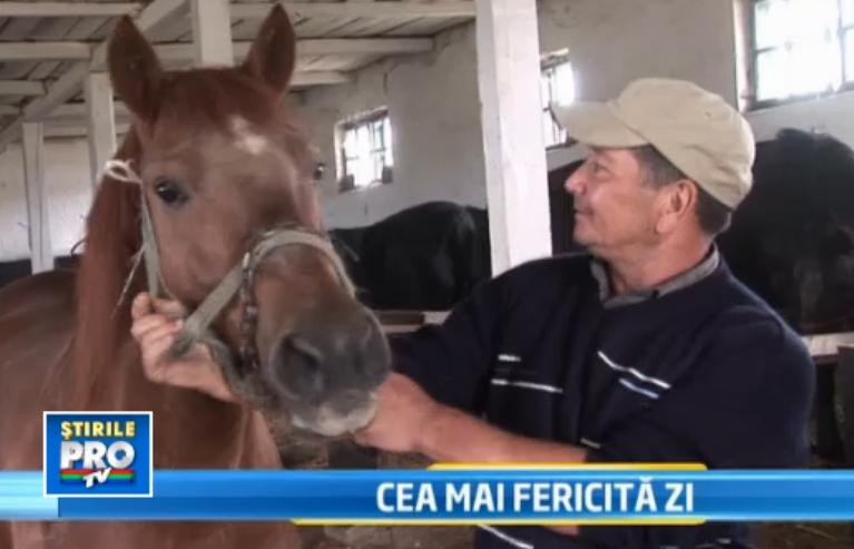 Final fericit in povestea calului care urma sa ajunga salam in Italia din cauza saraciei din Beclean