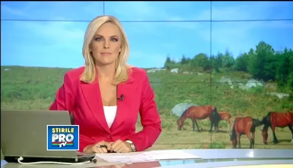 Vesti bune pentru calul care urma sa ajunga salam in Italia. Telespectatorii ProTv i-au salvat viata