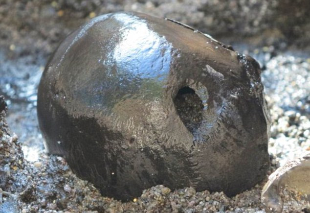 Poza craniu - Danemarca