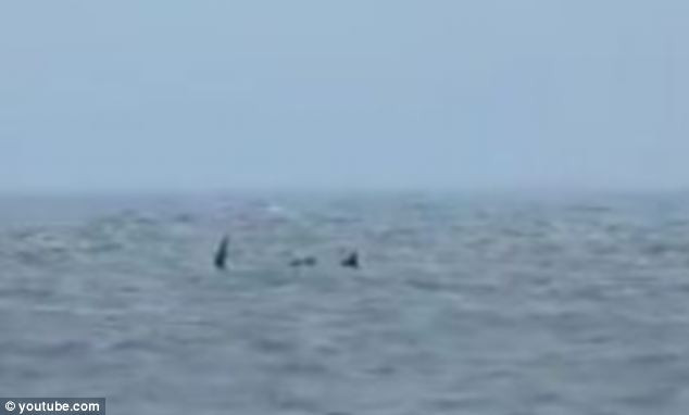 VIDEO. Monstrul din Skegness. Aparitia care i-a speriat pe turistii aflati pe o plaja din Anglia