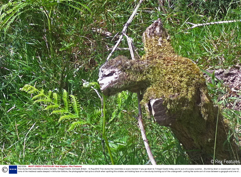 FOTO. Aparitie bizara filmata in apropierea unui castel medieval. "Seamana cu Lordul Cap de Mort"