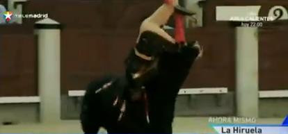 Matador luat in coarne de taur, in timpul unei coride din Madrid. Imagini SOCANTE