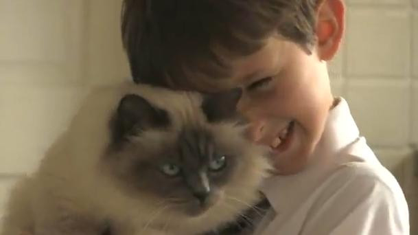 Un baiat din Marea Britanie a fost invatat sa vorbeasca de o pisica. VIDEO