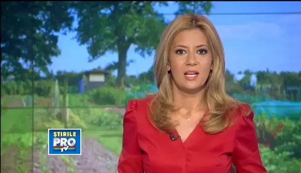 Legume cultivate si livrate la domiciliu. Afacerea cu care cateva studente din Cluj au dat lovitura