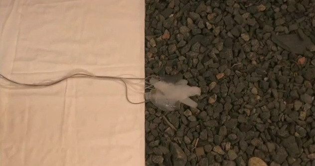 CEA MAI NOUA creatie a cercetatorilor americani: Vezi ce face ROBOTUL ASTA: VIDEO