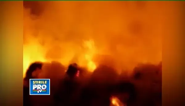 Un incendiu a mistuit un depozit de fan din Cluj. Pompierii cred ca focul a fost pus intentionat