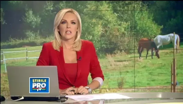 Cruzime de nedescris in Prahova. A taiat limbile cailor ca sa nu-i manance iarba