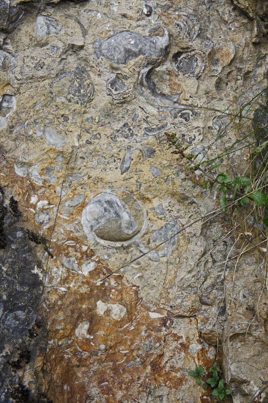 Peste 100 de tineri au invatat care sunt secretele unei fotografii reusite