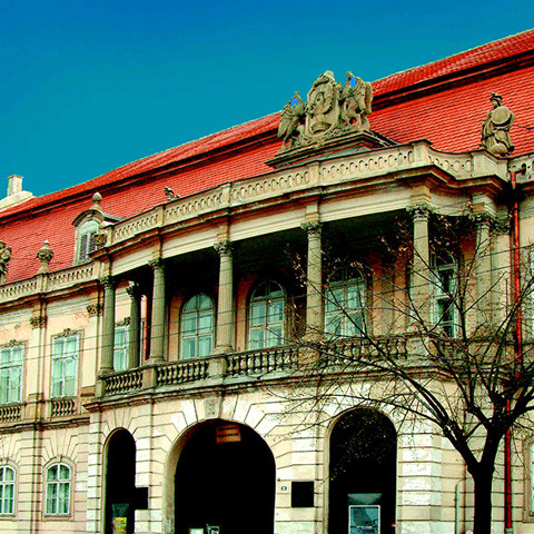 Seara de vis la Muzeul de Arta din Cluj-Napoca