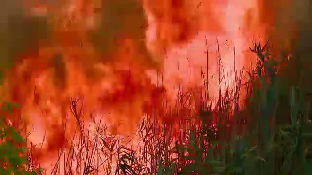 150 de mii de lei, paguba fermierului din Iclod caruia i-a ars hambarul cu lucerna