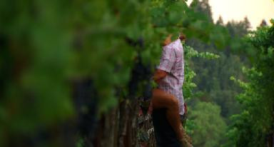 Fotografie de geniu pentru paparazzi. Acestia sustin ca au surprins doua vedete facand sex in public