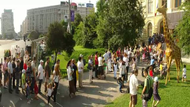 Mascota muzeului ''Grigore Antipa'', o girafa in marime naturala, distrusa de niste huligani