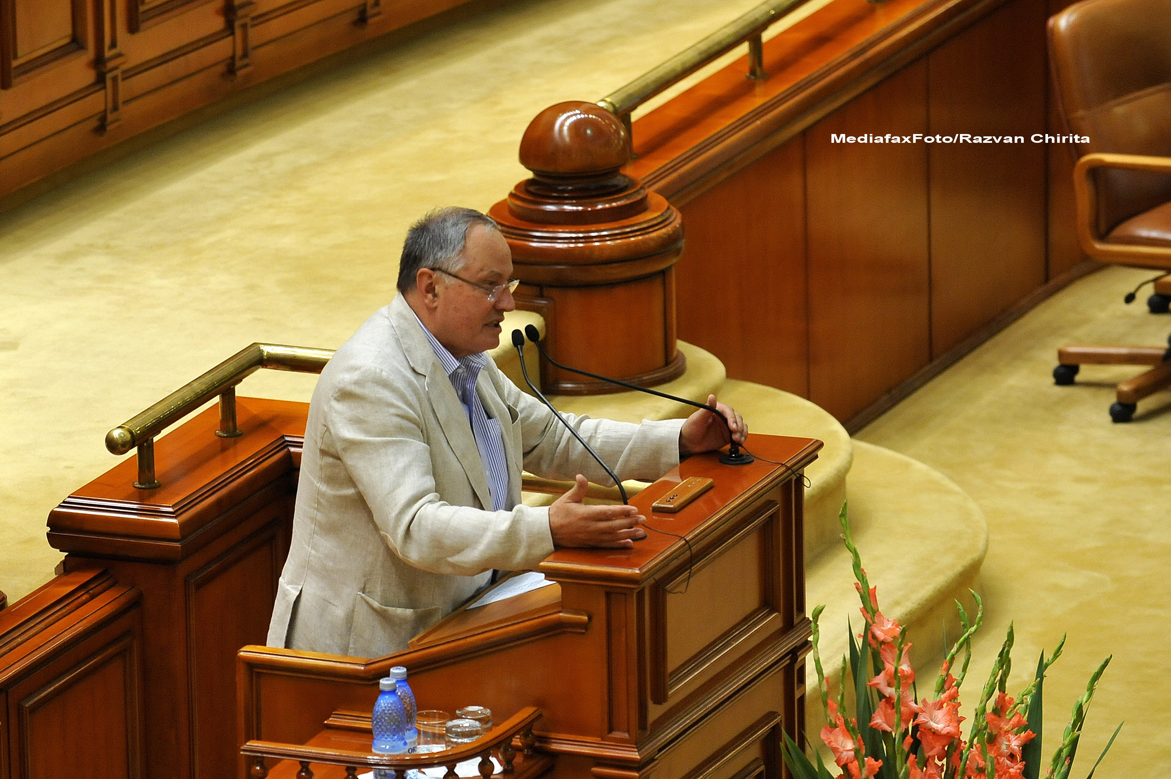 PDL a depus la CC noua sesizare privind Statutul parlamentarilor