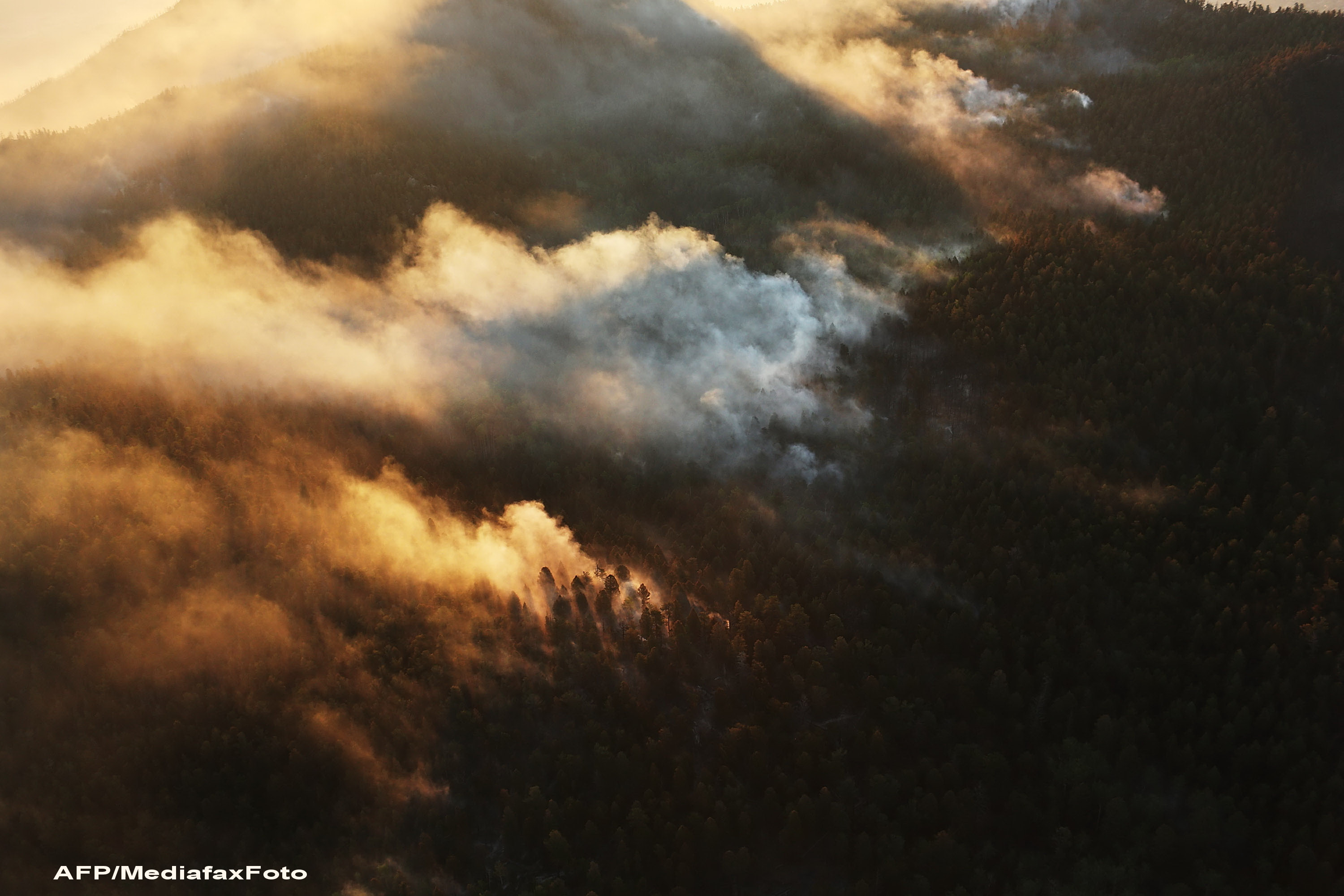 Padurile americane in flacari. Stare de urgenta in nordul Californiei din cauza incendiilor. VIDEO