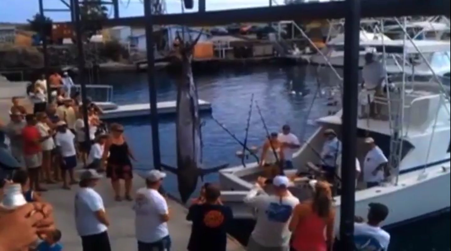 O femeie a pescuit un peste de 460 de kilograme. Motivul banal pentru care nu a stabilit un record