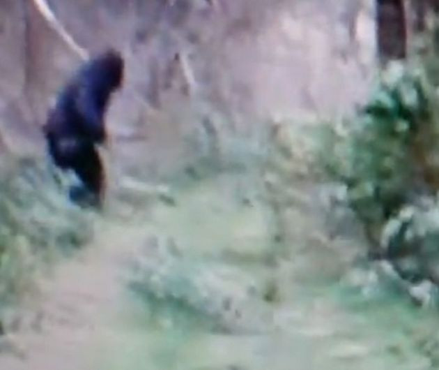 VIDEO. Imaginea care schimba tot ce stiam despre acest personaj