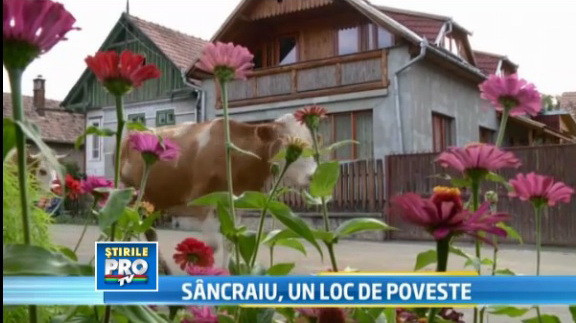 Cum sa faci turism cu CAP in ROMANIA: 1800 de locuitori traiesc doar din turism! VIDEO