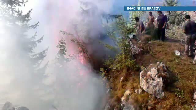 25 de hectare de vegetatie s-au facut scrum in padurile din Brasov. 50 de oameni se lupta cu focul