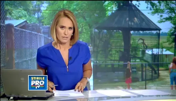 Cangur sfasiat de maidanezi la Gradina Zoologica Ploiesti. Nu este primul caz de acest gen