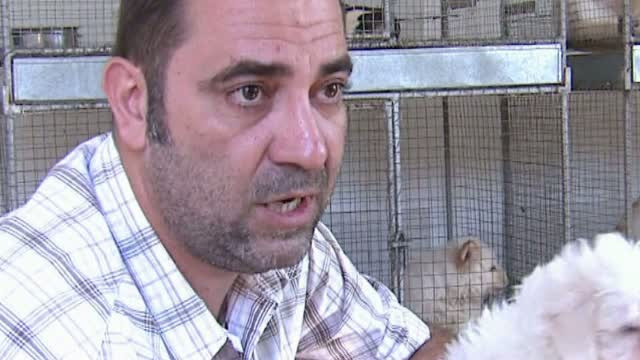 Unul dintre cei mai cunoscuti dresori de caini din tara, trimis preventiv dupa gratii