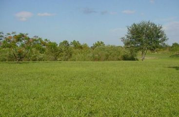 Cum au luat strainii 6% din suprafata Romaniei