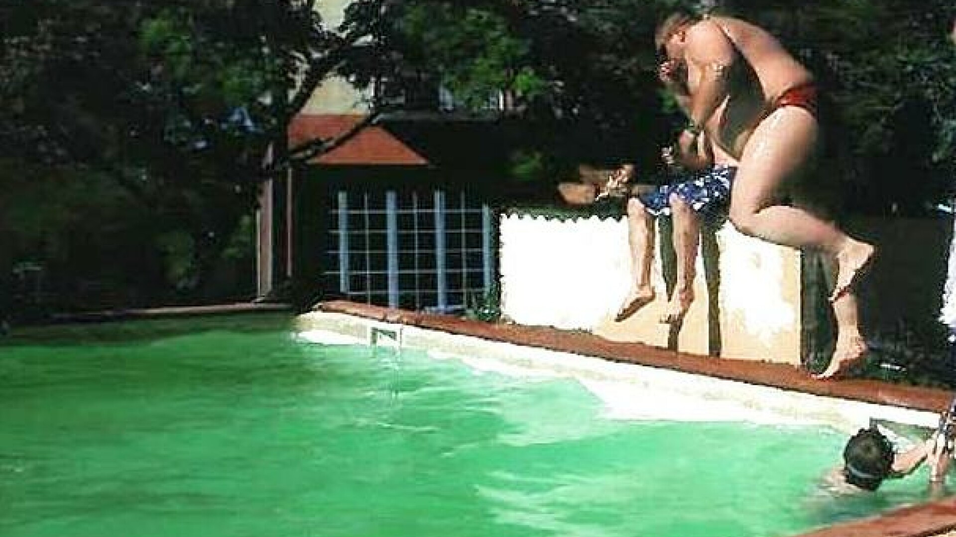 Fotografia de vacanta ce a provocat dezastrul. Ce este in neregula in aceasta ipostaza