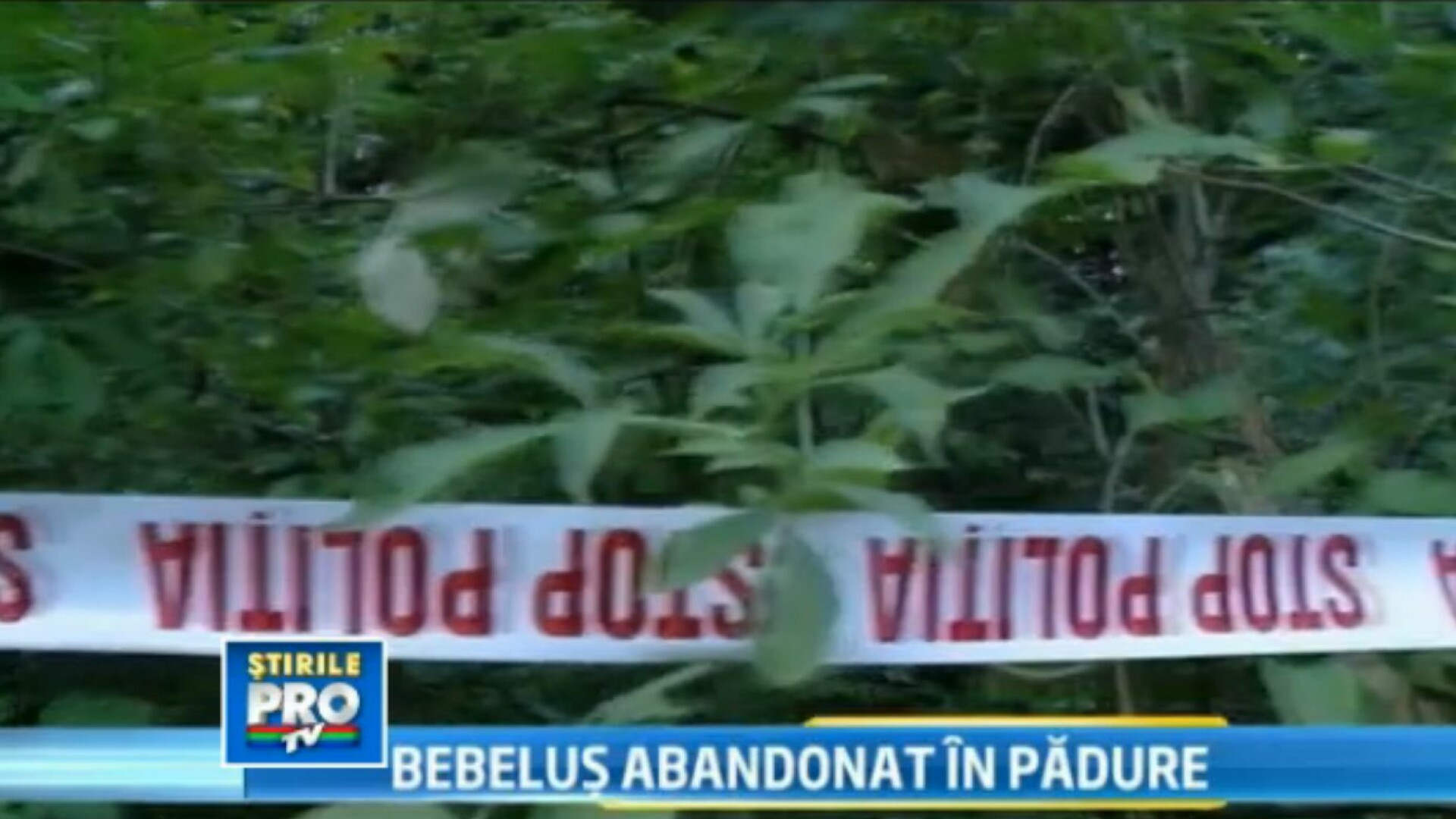 Gest inexplicabil. Doi parinti au abandonat un copil de numai doua saptamani la marginea unei paduri